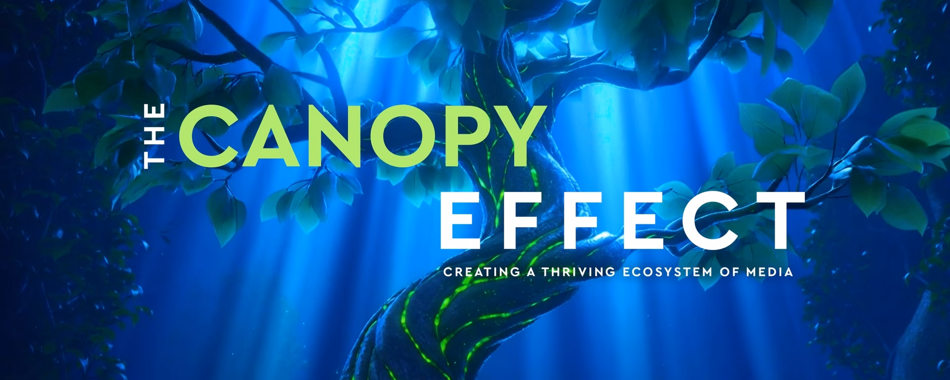 The Canopy Effect Frame 6